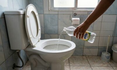 Despejar vinagre no vaso sanitário uma vez por semana: para que serve esse truque e por que ele ajuda na limpeza do banheiro