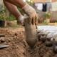 Enterrar garrafas PET de cabeça para baixo no quintal: para que serve esse método e por que os jardineiros o recomendam