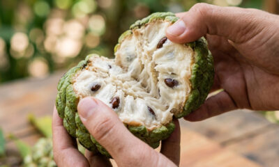 Essa fruta verde cheia de escamas se abre com as mãos para revelar uma polpa muito doce que parece leite condensado grosso e cremoso