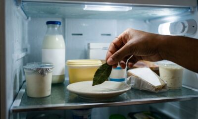 Colocar uma folha de louro na geladeira: para que serve esse truque simples e por que não é indicado deixar a folha por vários dias