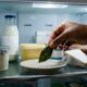 Colocar uma folha de louro na geladeira: para que serve esse truque simples e por que não é indicado deixar a folha por vários dias