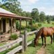 Fazenda procura voluntários para cuidar de cavalos e oferece hospedagem, três refeições por dia, transporte e passeios gratuitos