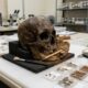 Luzia: como uma descoberta em Minas Gerais mudou o que a ciência sabia sobre os primeiros habitantes das Américas