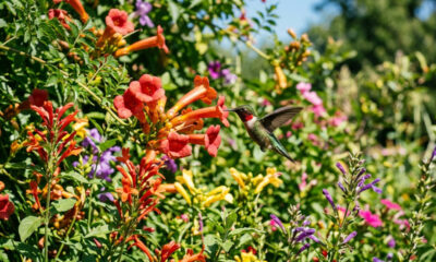 Plantar flores em formato de trombeta colorida: o truque paisagístico simples para atrair dezenas de beija-flores para o seu jardim o ano inteiro