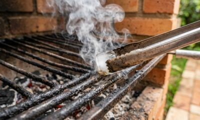 Esfregar cubos de gelo na grelha quente antes do churrasco: para que serve esse truque e por que ele é recomendado