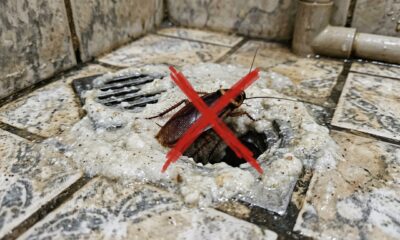 Adeus às baratas no ralo: a mistura caseira que bloqueia a passagem pelo encanamento sem cheiro forte