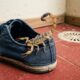 Escorpiões invadem sapatos, ralos e frestas de parede em busca de água e abrigo; entulho no quintal e tubulações sem sifão facilitam a entrada nas casas