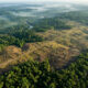 Cientistas encontram 432 construções escondidas sob a Amazônia e descobrem vestígios de uma antiga civilização que pode ter reunido milhões de pessoas