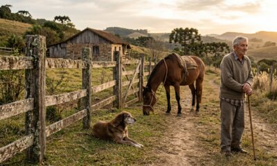 Provérbio alemão do dia: “Uma cerca dura 3 anos, um cachorro dura 3 cercas, um cavalo dura 3 cachorros e um homem dura 3 cavalos”; um ditado que ensina sobre tempo e como devemos praticar a gratidão, extraídas de um antigo ditado.