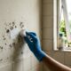Nem água sanitária nem vinagre: a mistura caseira que pode ajudar a tirar o mofo da parede do banheiro sem agredir a pintura