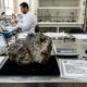 Meteoritos podem valer mais que ouro: por que um único grama chega a 21 mil zł