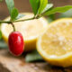 A fruta do milagre: chupe essa frutinha vermelha e por duas horas até um limão puro terá o gosto doce de uma limonada suíça com açúcar