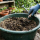Como preparar um substrato leve, aerado e rico em nutrientes em casa gastando quase nada: o guia simples com terra vegetal e casca de arroz