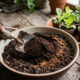 Misturar borra de café com canela em pó na terra: o segredo de adubação que acelera o crescimento de hortaliças e protege contra fungos no solo