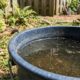 Mosquitos estão ficando resistentes aos inseticidas: o que pesquisadores observaram e por que isso preocupa
