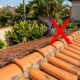 Adeus aos pombos no telhado: truque caseiro ajuda a afastar as aves do jardim 