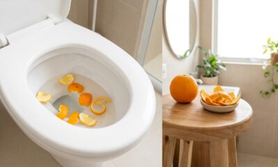 Colocar cascas de laranja no vaso sanitário uma vez por semana: para que serve e como fazer sem entupir