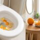Colocar cascas de laranja no vaso sanitário uma vez por semana: para que serve e como fazer sem entupir