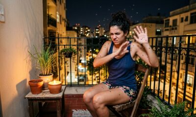 Adeus aos mosquitos na varanda: a planta que espanta os insetos e ainda perfuma o ambiente durante toda a noite