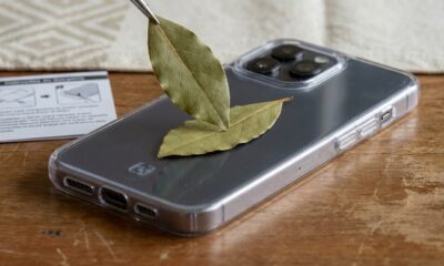 Deixar uma folha de louro na capinha do celular: para que serve e por que recomendam