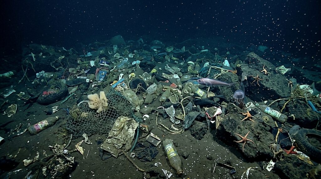 Cientistas encontram milhares de toneladas de lixo plástico em águas profundas e descoberta revela a dimensão da poluição marinha