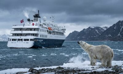 Turista buzina o navio para acordar um urso polar que dormia na praia, o animal se assusta e foge, e a brincadeira de poucos segundos vira uma multa de R$ 27 mil por perturbar espécie protegida há mais de 50 anos