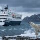 Turista buzina o navio para acordar um urso polar que dormia na praia, o animal se assusta e foge, e a brincadeira de poucos segundos vira uma multa de R$ 27 mil por perturbar espécie protegida há mais de 50 anos