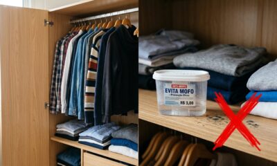 Adeus ao mofo no guarda-roupa: o item de 3 reais que absorve toda a umidade e evita o cheiro de armário fechado