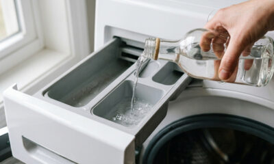 Despejar vinagre branco no reservatório da máquina de lavar: o truque simples para limpar o tambor e eliminar o cheiro de mofo e limo das roupas