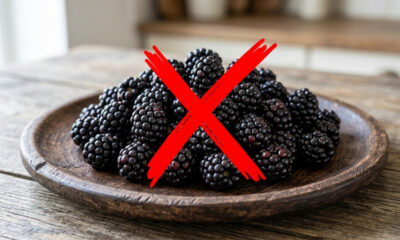 Adeus, amora: essa fruta exótica de cor roxa e preta esconde um sabor encorpado de uva passa com cacau e é o segredo das geleias do sul