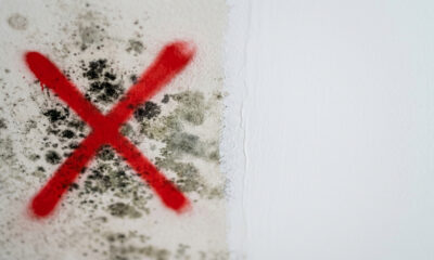 Adeus mofo preto no teto do banheiro: a técnica de lavar a laje com cloro e aplicar tinta acrílica antimofo para evitar que as manchas retornem