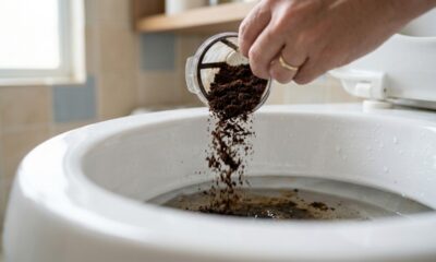 Jogar borra de café usada no vaso sanitário: para que serve esse truque e por que recomendam deixar agir por algumas horas