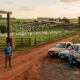 Pai deixa fazenda de R$ 47 milhões e 3 mil cabeças de gado para apenas um filho, enquanto os outros três recebem 4 carros antigos, mas a lei pode obrigar a refazer a divisão