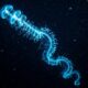 Nas profundezas do mar, criaturas luminosas que parecem saídas de um filme de ficção científica mostram que o oceano ainda guarda cenas quase inacreditáveis da natureza