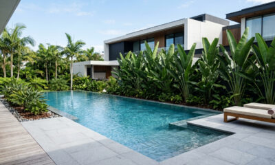 Essa árvore de sombra rápida não solta folhas na piscina, bloqueia o vento e dá visual sofisticado de resort para a área de lazer