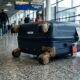 Colocar fita adesiva nas rodas da mala: para que serve e por que cada vez mais viajantes a recomendam