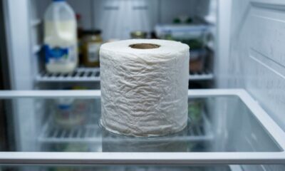 Colocar um rolo de papel higiênico na geladeira: para que serve esse truque simples e por que muita gente usa nos dias quentes