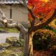 Conselho japonês para quem tem medo de recomeçar: "A raiz que se corta na primavera dá o galho mais forte no verão." Uma lição zen sobre podar o que já não sustenta