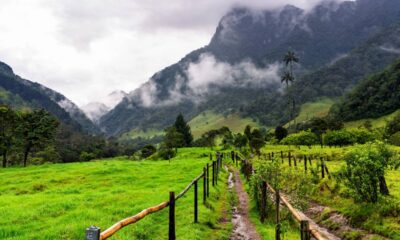 Onde montanhas e noites frias transformam o café colombiano em um dos mais premiados do planeta