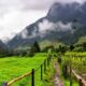 Onde montanhas e noites frias transformam o café colombiano em um dos mais premiados do planeta