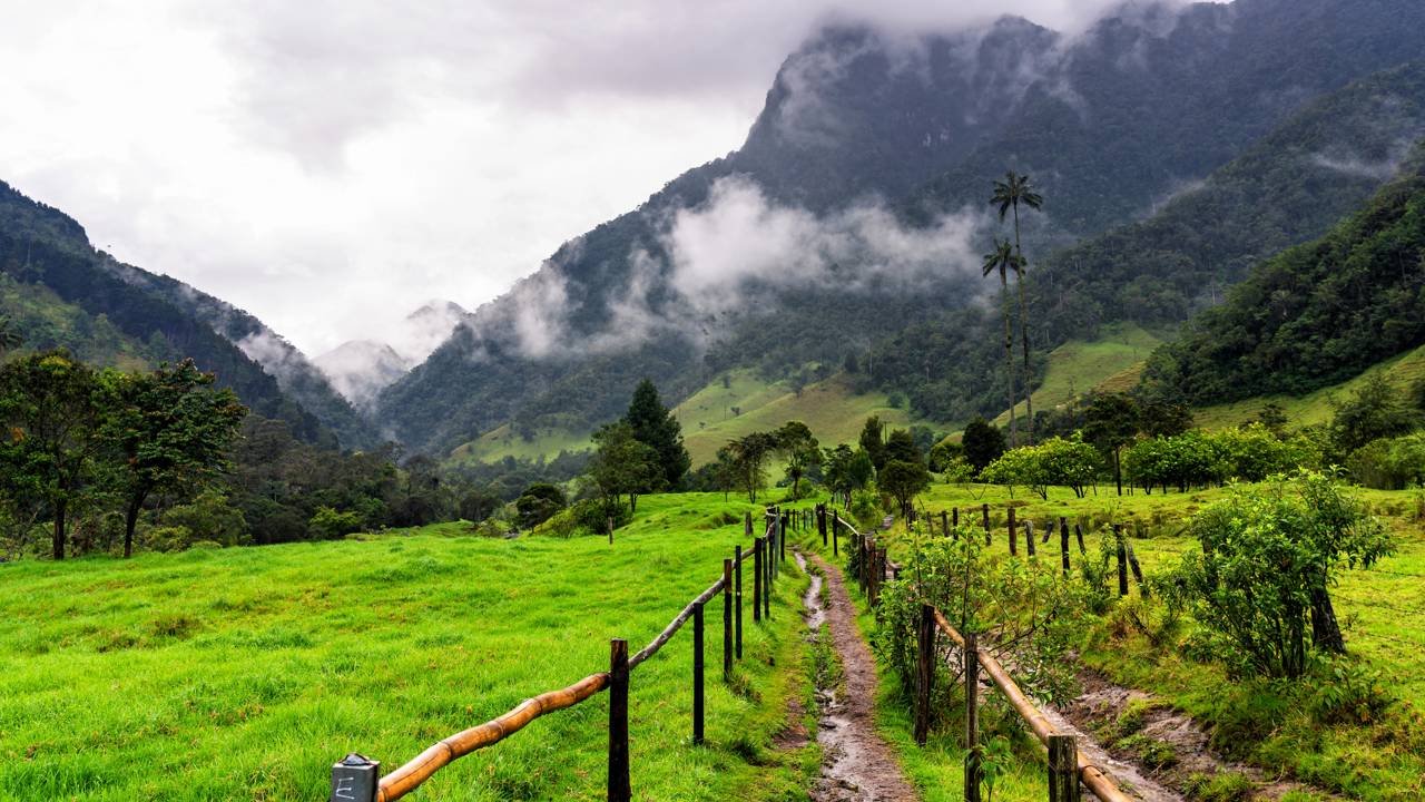 Onde montanhas e noites frias transformam o café colombiano em um dos mais premiados do planeta