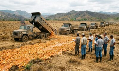 Em 1998, mil caminhões cobriram uma área degradada com 12 mil toneladas de cascas de laranja e, 15 anos depois, o resultado mudou completamente a paisagem do país