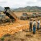 Em 1998, mil caminhões cobriram uma área degradada com 12 mil toneladas de cascas de laranja e, 15 anos depois, o resultado mudou completamente a paisagem do país