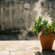 Especialistas explicam por que você nunca deveria regar as plantas às 3 da tarde durante os dias mais quentes