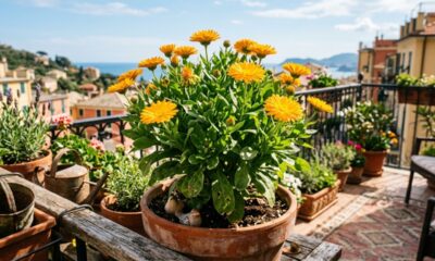 Nem rosas nem gerânios: essa planta com flores coloridas pode transformar o jardim e ainda funcionar como um aliado natural contra pragas