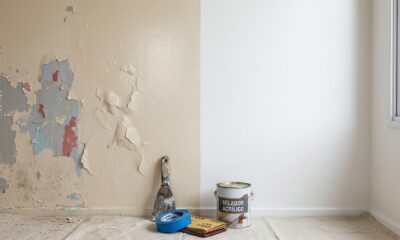 Pintor com 25 anos de experiência afirma: 8 em cada 10 pinturas que descascam em menos de um ano falham pelo mesmo erro na preparação da parede, e ensina o teste da fita adesiva que qualquer morador faz em dois minutos