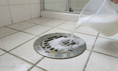 Para que serve jogar água quente, sal ou sabão no ralo do banheiro e por que isso pode ajudar minhocas