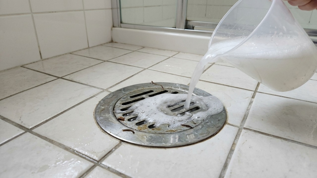 Para que serve jogar água quente, sal ou sabão no ralo do banheiro e por que isso pode ajudar minhocas