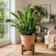 Essa planta de interior elegante sobrevive até um mês inteiro esquecida, sem receber uma única gota de água, e mantém as folhas brilhantes