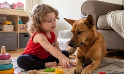 Cachorra considerada inadotável surpreende a todos ao se tornar a irmã mais velha mais doce da família